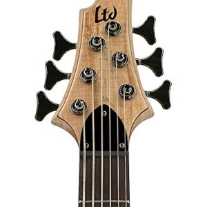 ESP LTD B-206SM Spalted Maple 6-String Bass Guitar, Natural Satin