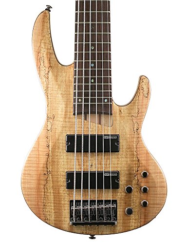 ESP LTD B-206SM Spalted Maple 6-String Bass Guitar, Natural Satin