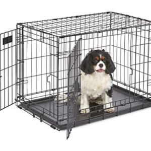 MidWest Homes for Pets Newly Enhanced Double Door iCrate Dog Crate, Includes Leak-Proof Pan, Floor Protecting Feet, Divider Panel & New Patented Features