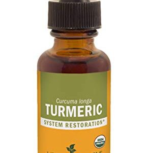 Herb Pharm Certified Organic Turmeric Root Extract for Musculoskeletal System Support - 1 Ounce (DTURM01)