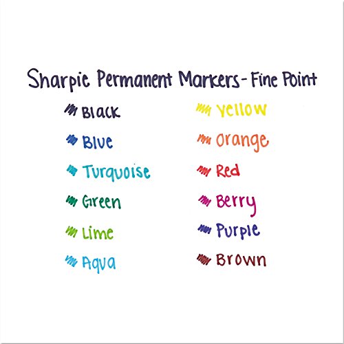 Permanent Marker, Fine Point, Black Ink, Lot of 12