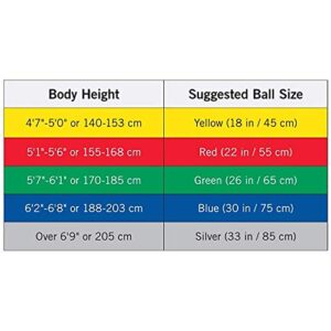 THERABAND Exercise Ball, Professional Series Stability Ball with 75 cm Diameter for Athletes 6'2" to 6'8" Tall, Slow Deflate Fitness Ball for Improved Posture, Balance, Yoga, Pilates, Core, Blue