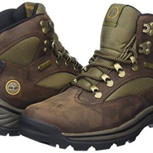 Timberland womens Chocorua Trail With Gore-tex® Membrane hiking boots, Brown, 11 US