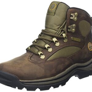 Timberland womens Chocorua Trail With Gore-tex® Membrane hiking boots, Brown, 11 US