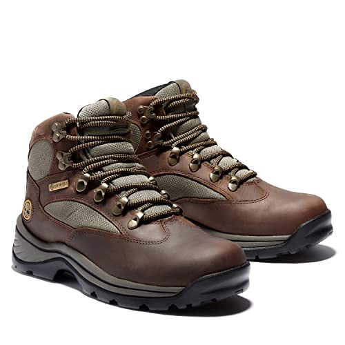 Timberland womens Chocorua Trail With Gore-tex® Membrane hiking boots, Brown, 11 US