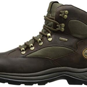 Timberland Men's Chocorua Trail Mid Waterproof Hiking Boot, Brown/Green, 12 D - Medium