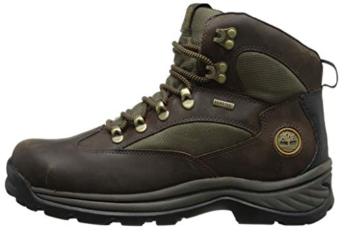 Timberland Men's Chocorua Trail Mid Waterproof Hiking Boot, Brown/Green, 12 D - Medium