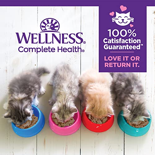 Wellness Complete Health Grain-Free Chicken Entrée Wet Kitten Food - Natural Ingredients with Real Chicken, Brain Development DHA, Essential Fatty Acids and Eye Health Taurine, 3 oz cans (Pack of 24)