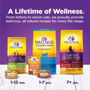 Wellness Complete Health Grain-Free Chicken Entrée Wet Kitten Food - Natural Ingredients with Real Chicken, Brain Development DHA, Essential Fatty Acids and Eye Health Taurine, 3 oz cans (Pack of 24)