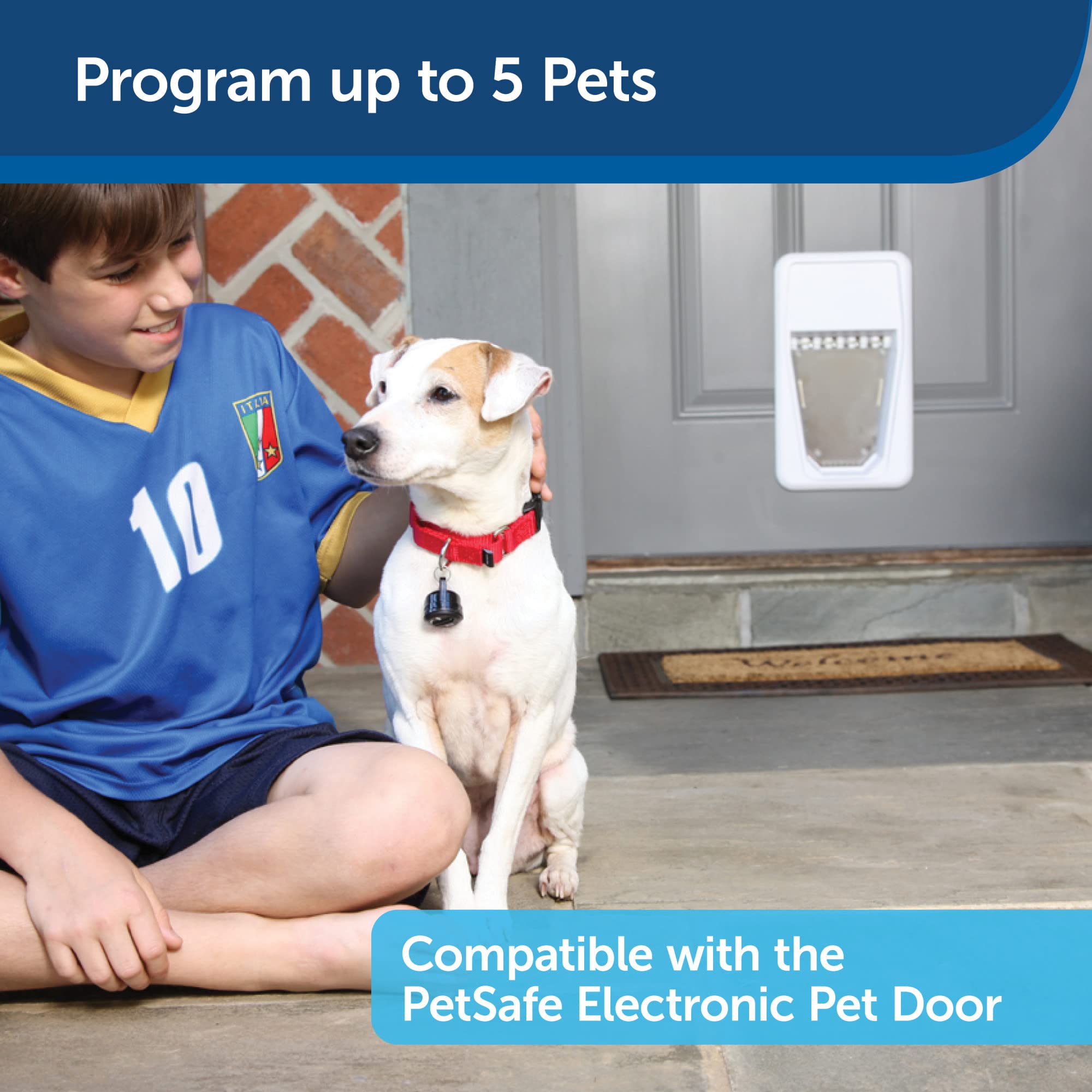 PetSafe Electronic SmartKey for SmartDoor - Dog and Cat Keys - Add More Pets - Fits Collar ID Tags