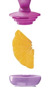 Nuby 2-Pack Nibbler Mesh Feeders, Colors May Vary