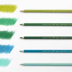 CREATIVE ART MATERIALS Caran d'Ache Pablo Pencil Set of 40 (666.340)