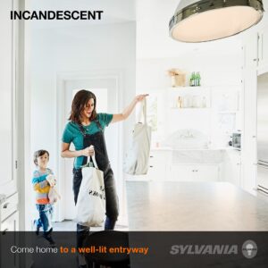 SYLVANIA Incandescent 200W A21 Utility Light Bulb, 3880 Lumens, 2850K, Medium Base, Clear, Soft White - 1 Pack (15476)