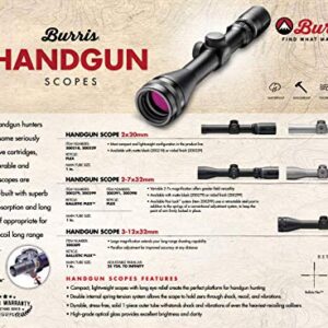 Burris Optics Handgun Plex Reticle Pistol Hunting Scope, 2X20mm, Silver Nickel (200229)