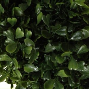 Two 4 Foot Outdoor Artificial Boxwood Spiral Topiary Trees UV Rated Plants