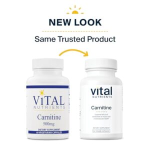 Vital Nutrients - Carnitine - Cardiovascular and Fat Metabolism Support - L-Carnitine Supplement - Heart Health Support - Supports Fatty Acid Transport - 60 Vegetarian Capsules per Bottle - 500 mg