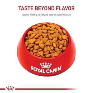 Royal Canin Indoor Adult Dry Cat Food, 7 lb bag