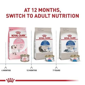 Royal Canin Indoor Adult Dry Cat Food, 7 lb bag