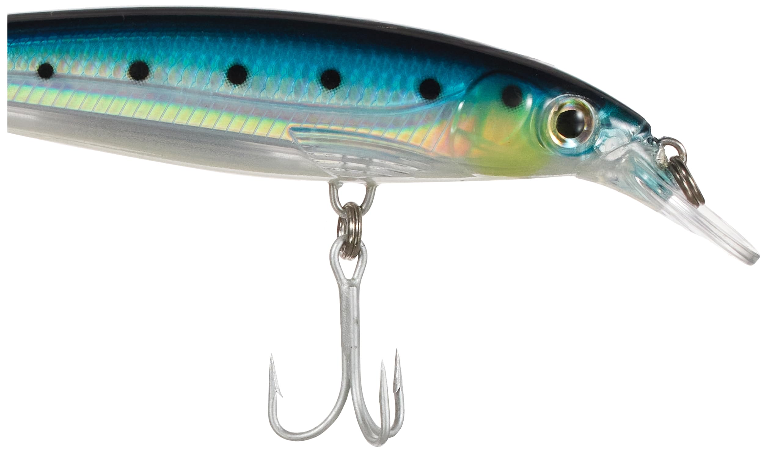 Rapala X-Rap Saltwater 12 Fishing lure, 4.75-Inch, Blue Sardine