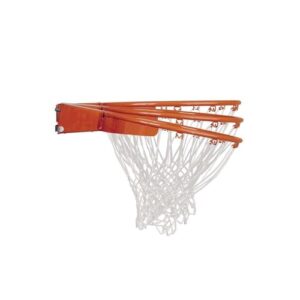 Lifetime Portable Basketball Hoop, 54 Inch Steel-Framed Acrylic Backboard