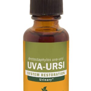 Herb Pharm Uva Ursi Liquid ExtraCount for Urinary System Support, 1 Fl Oz