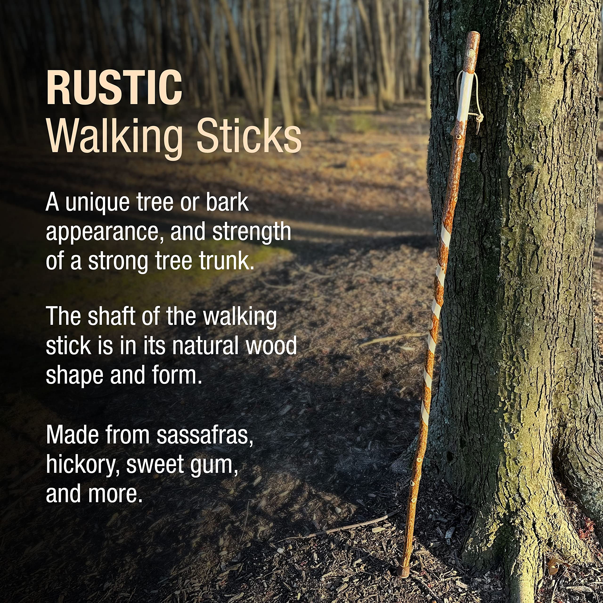 Hiking Walking Trekking Stick - Handcrafted Wooden Walking & Hiking Stick - Made in the USA by Brazos - Twisted Sassafras - 58 inches