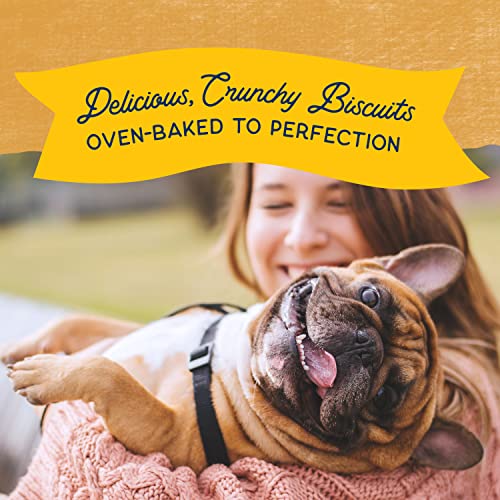 Natural Balance Limited Ingredient Rewards Crunchy Biscuits, Grain-Free Dog Treats for Adult Dogs of All Breeds, Duck Recipe, 28 Ounce (Pack of 1)