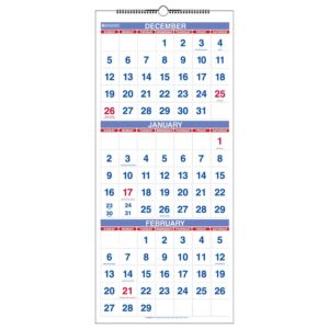 at-a-glance pm1128 vertical format reference calendar, 14-month, december-january, 12-1/4 x 27, carton of 12