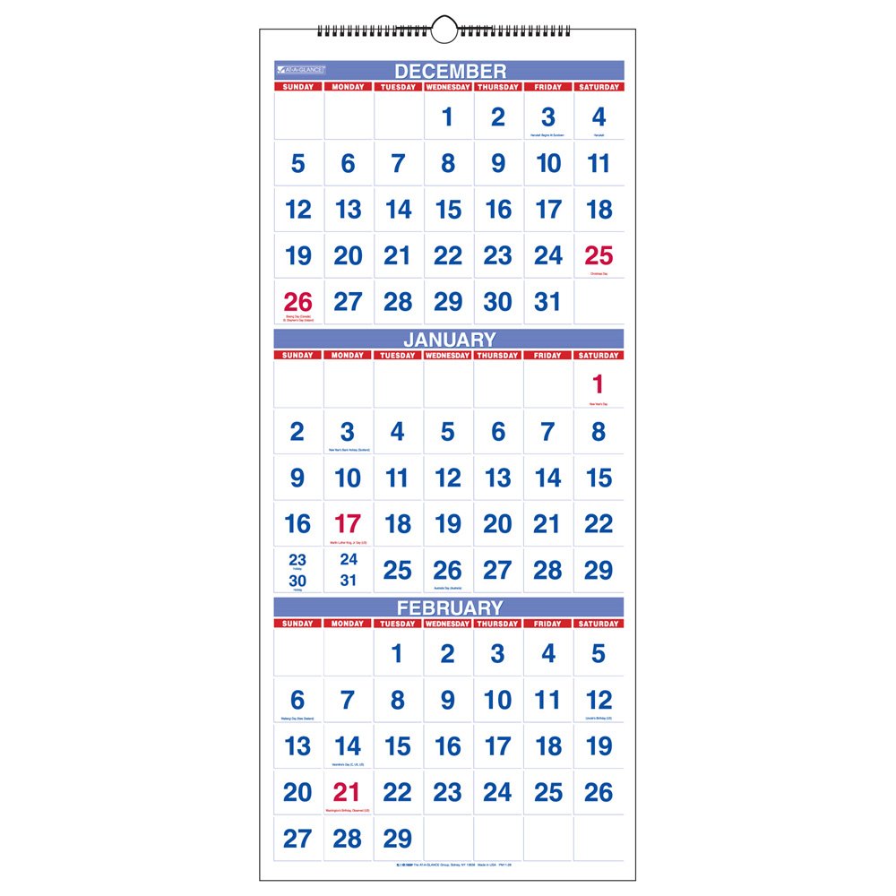 AT-A-GLANCE PM1128 Vertical Format Reference Calendar, 14-Month, December-January, 12-1/4 X 27, Carton of 12