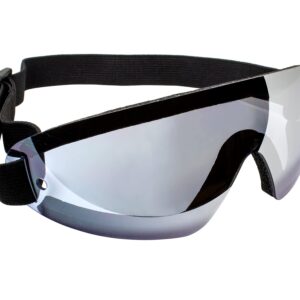 Birdz Eyewear - Wing Infinity - Blue Skies Mirror Anti-Fog Skydiving Goggle