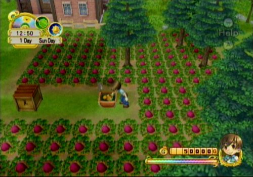 Harvest Moon: Tree of Tranquility - Nintendo Wii