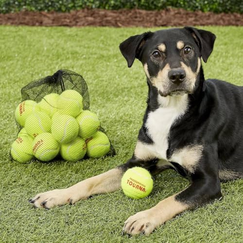 Tourna Mesh Carry Bag of 18 Tennis Balls