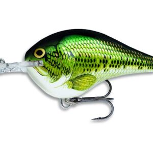 Rapala Dives-To 06 Fishing lure, 2-Inch, Baby Bass