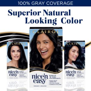 Clairol Nice'n Easy Permanent Hair Dye, 3 Brown Black Hair Color, 3 Count