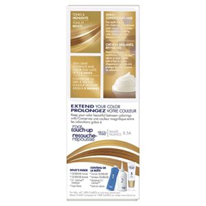 Clairol Nice'n Easy Liquid Permanent Hair Dye, 8A Medium Ash Blonde Hair Color, Pack of 3