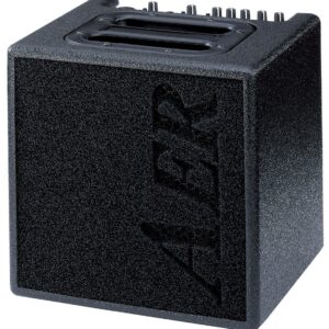 AER Alpha 40W 1x8 Acoustic Guitar Combo Amp Black