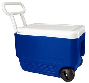 igloo 38 quart wheelie cooler,blue (22.875”l x 12.875”w x 15.875”h)