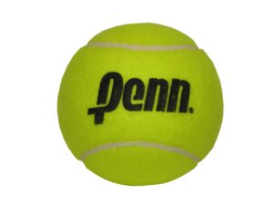 penn 581022 4" mini jumbo tennis ball, yellow