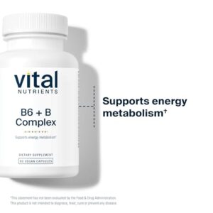 Vital Nutrients Vitamin B6 + B Complex | Vegan Methylated B Vitamins for Energy, Metabolism, Heart Health* | High-Potency Vitamin B6 for Menstrual Discomfort * | Gluten, Dairy, Soy Free | 60 Capsules