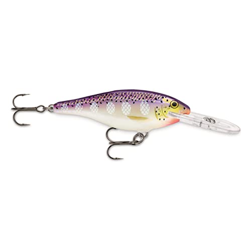 Rapala Shad Rap 05 Fishing lure (Silver, Size- 2)