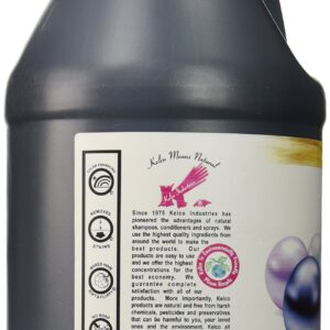 Kelco 50:1 Black Star Shampoo Gallon