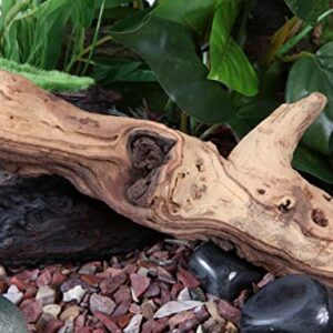 Fluval Mopani Driftwood, Aquarium Decoration, Small, 11817A1