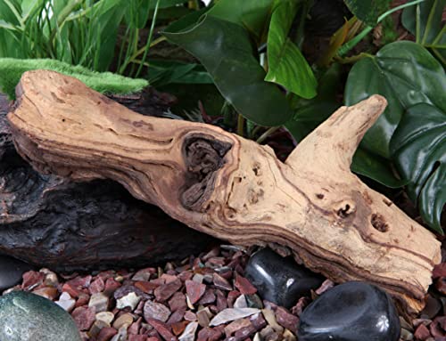 Fluval Mopani Driftwood, Aquarium Decoration, Small, 11817A1