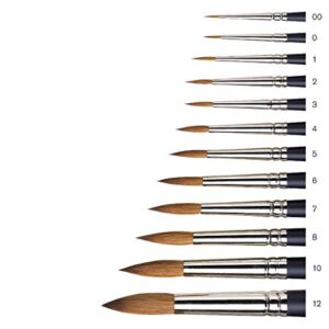 Winsor & Newton Professional Watercolour Sable Brush, Round #10