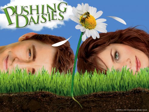 Pushing Daisies Season 1