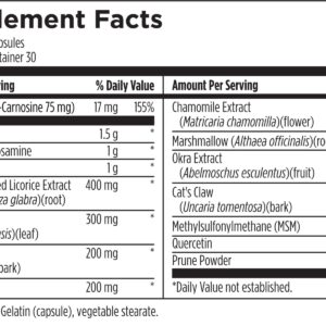 Designs for Health GI Revive - Slippery Elm Gut Health Support with Licorice Root, L-Glutamine + Zinc Carnosine - MSM, Marshmallow Root Powder + Okra Extract (210 Capsules)