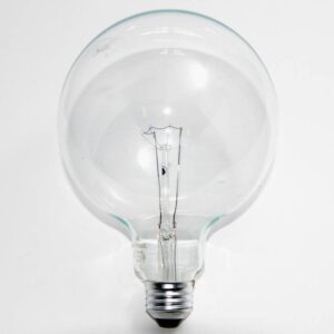 Philips 60w 120v G40 DuraMax Clear E26 Decorative Incandescent Light Bulb