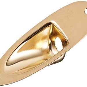 Fender Guitar Jack Plate Gold