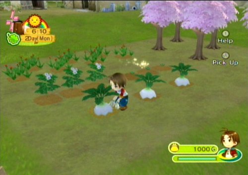 Harvest Moon: Animal Parade - Nintendo Wii