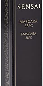 Kanebo - MASCARA 38ºC M-1 black -6 ml